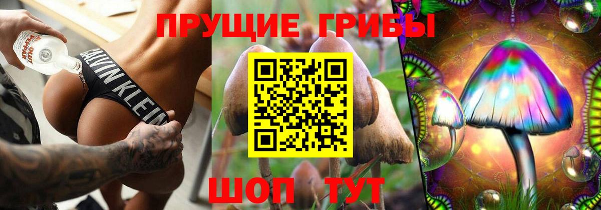 где купить наркоту  Галлюциногенные грибы Psilocybine cubensis  Вход с VPN  Брянск 